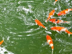 -溪口-滕头旅游景区