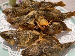 -金成潮菜博物馆(海珠湿地店)