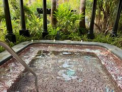 -广州从化都喜泰丽度假酒店温泉
