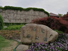-嘉定紫藤园