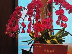 -喜湘宴·精致湖南菜(和平西桥店)