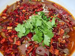 -魏铭鱼头捞饭(晋阳路店)