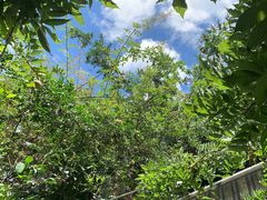 -喵屿·大理花园猫咖