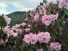 -井冈山风景名胜区