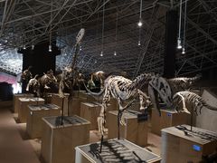 -世界恐龙谷景区