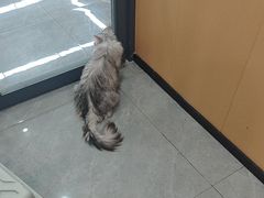 -贝利宠物医院·骨科·眼科·肿瘤转诊中心(南坪诊疗中心)