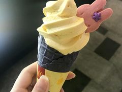 -麦当劳(壹购广场店)