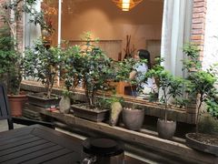 -天水蔬食料理(树德之光店)
