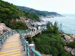 -广东惠东海龟国家级自然保护区