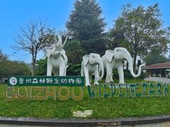 -贵州森林野生动物园