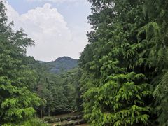-云溪植物园