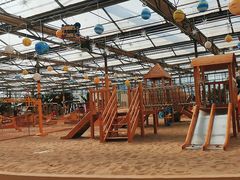 -南宫五洲植物乐园