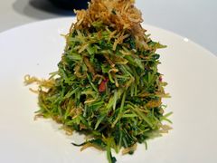巧拌豆苗-四季民福烤鸭店(西单华威约饭街店)