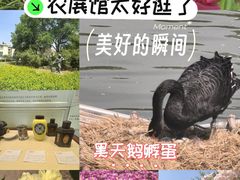 -中国农业博物馆