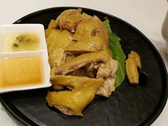 -振鼎鸡(福州路店)