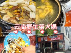 -菌之家·专业纯野生菌火锅·特色炒菌
