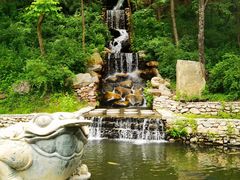 -大连天门山国家森林公园