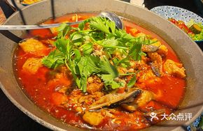You Cai Shu's Fish