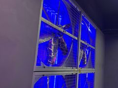 -关你鬼室大型密室逃脱(佛山创意园店)
