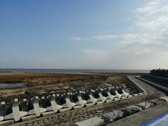 -南汇嘴观海公园