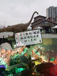 -恐龙探索乐园(磁器口店)