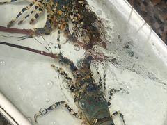 -拉威海鲜市场