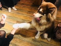 -玩坞轰趴馆·户外团建聚会主题生日派对馆(世豪广场店)