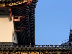 -广东花都湖国家湿地公园