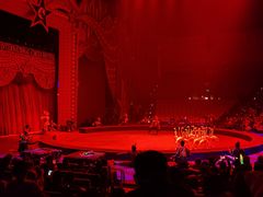 -珠海横琴长隆《卡卡虎奇遇记》