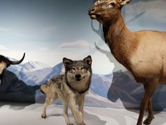 -陕西自然博物馆