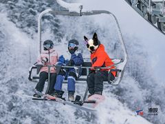 -太子岭滑雪场