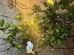 -22ºN BISTRO西餐&酒馆