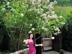 -看见远方·莫干遥远的山民宿