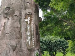 -青青世界