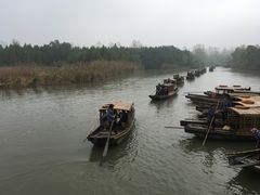 -溱湖国家湿地公园