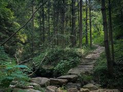 -素山寺森林公园