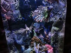 -太平洋海底世界