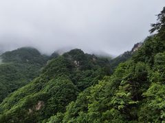 -老界岭旅游度假区