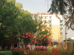 -大关公园