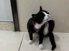 -微光私人影院(巴南万达店)