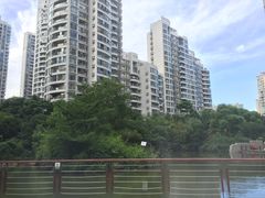 -新湖明珠城
