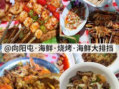 -日照海滨国家森林公园