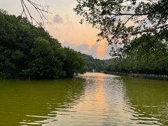 -李小龙乐园(顺德均安店)