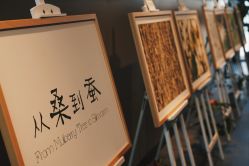 -太湖雪蚕桑文化园