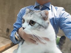 -作咖啡(养育巷店)