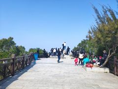 -广东惠东海龟国家级自然保护区