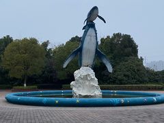 -海合安武汉极地海洋公园