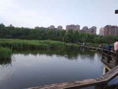 -前关湿地公园