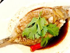 -富力威斯汀酒店-中国元素中餐厅(武昌临江店)