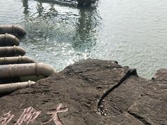 -采石矶景区